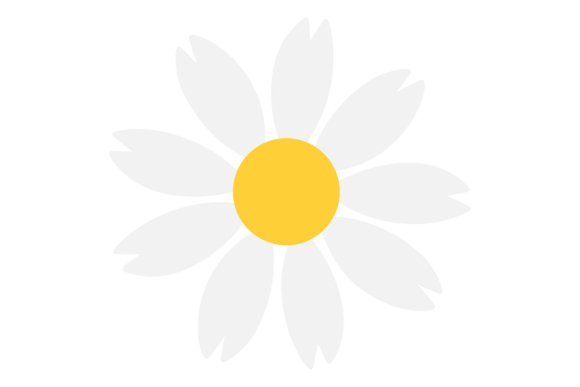 Choosing the Right Daisy Icon: Chamomile Flower, White and Yellow Design Tips