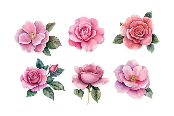 Integrating Pink Rose Watercolor Vector Assets into Professional Design Workflows
