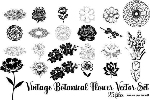 Vintage Botanical Flower Vector Set: A Versatile Resource for Modern Designers