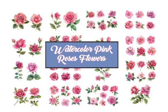 Watercolor Pink Roses Vector: Elegant Design