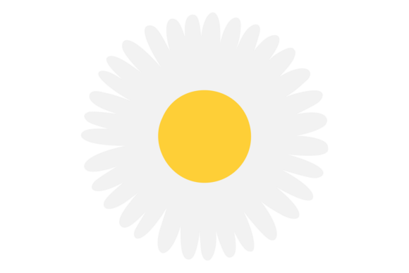 White Chamomile. Daisy Flower with Brigh: Evaluating the Aesthetic and Practical Value of Minimalist Botanical Design